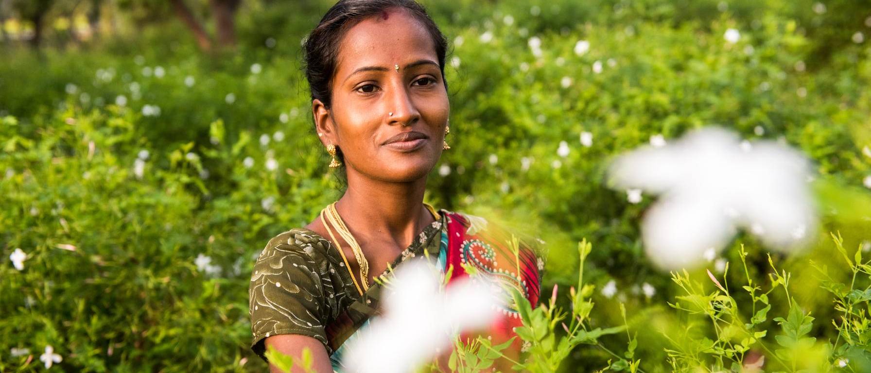 Image of jasmine flower