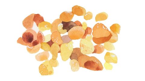 Goma de Acacia Senegal (Acacia Senegal Gum)