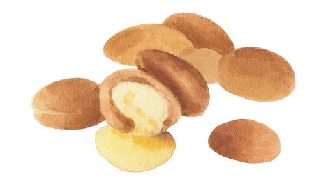Aceite de Argán  (Argania Spinosa Kernel Oil)