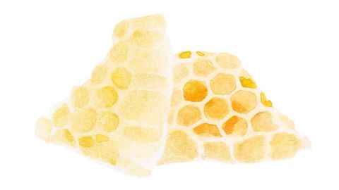 Cera de Abeja blanca