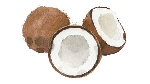 Aceite de Coco (Coconut Oil)