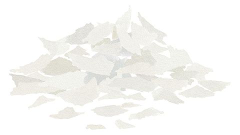 Ésteres de ácidos grasos