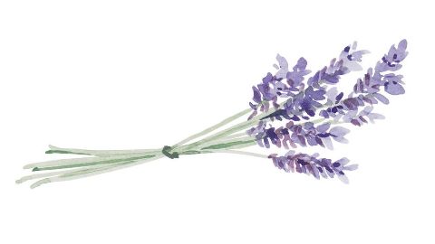 Aceite de Lavanda