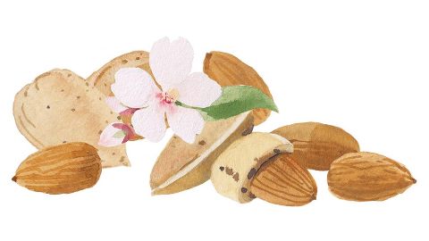 Aceite de Almendra dulce