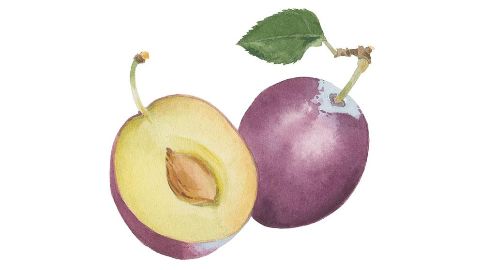 Aceite de semilla de ciruela