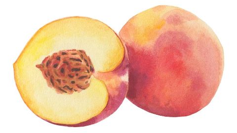 Aceite de cuesco de durazno