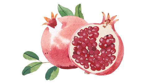 Pomegranate peel extract