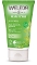 Pearl Scrub Birch